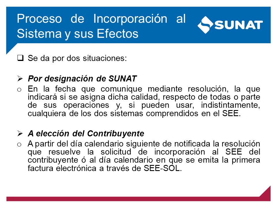 Proceso de Incorporación al Sistema y sus Efectos