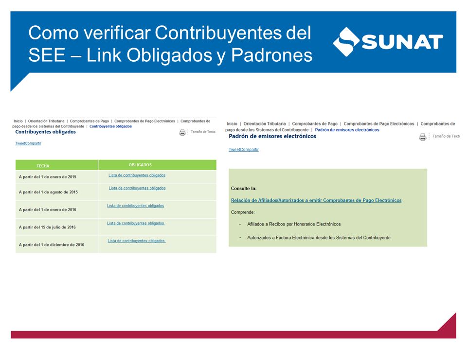 Como verificar Contribuyentes del SEE – Link Obligados y Padrones