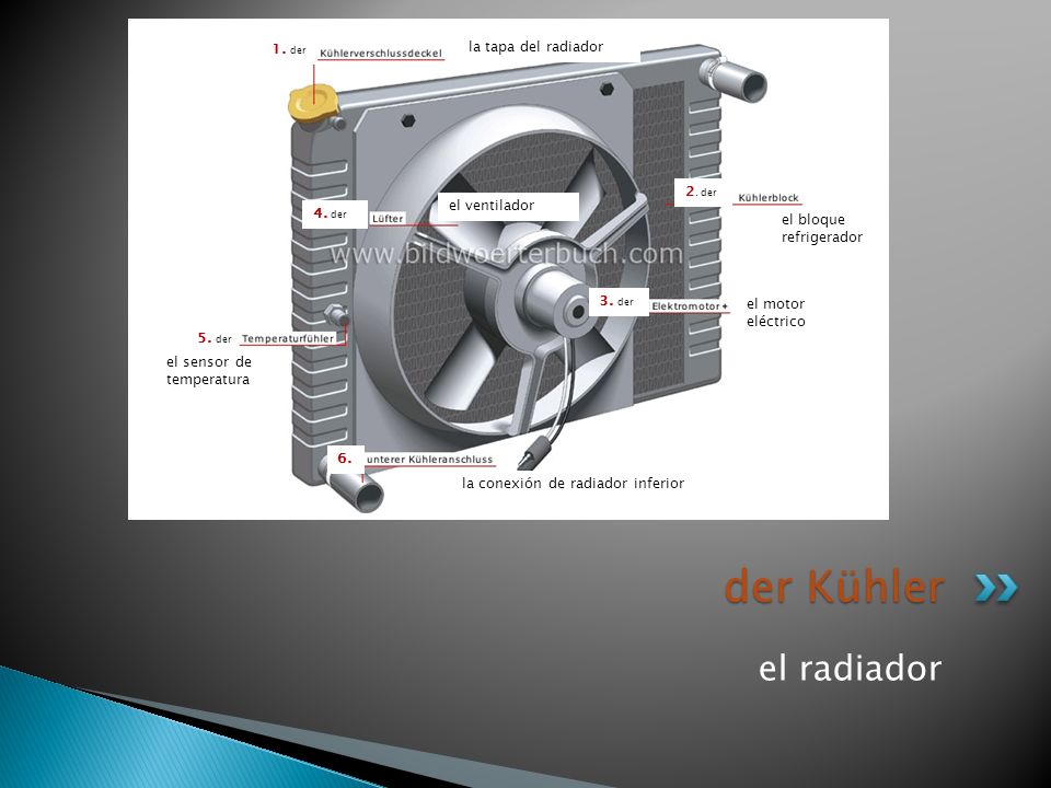 der Kühler el radiador 1. der la tapa del radiador 2. der