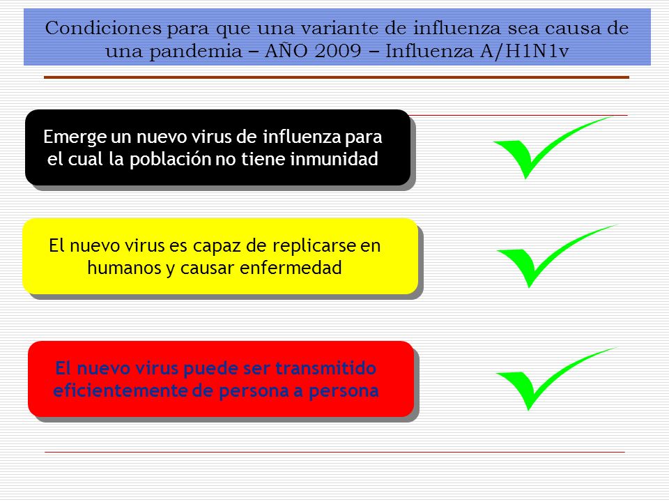 El nuevo virus es capaz de replicarse en humanos y causar enfermedad