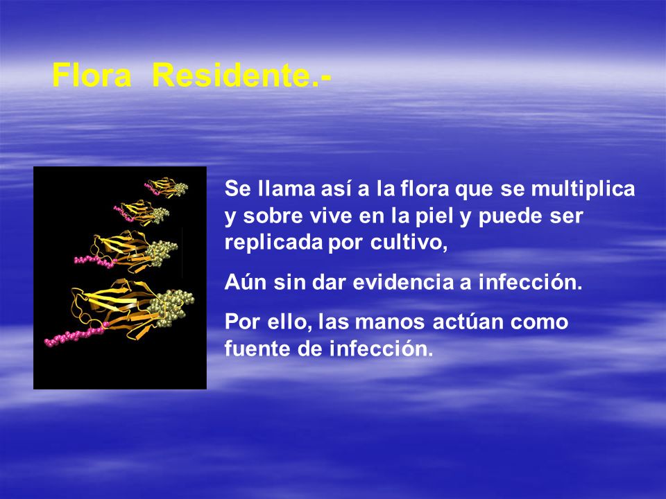 Flora Residente.- Se llama así a la flora que se multiplica y sobre vive en la piel y puede ser replicada por cultivo,