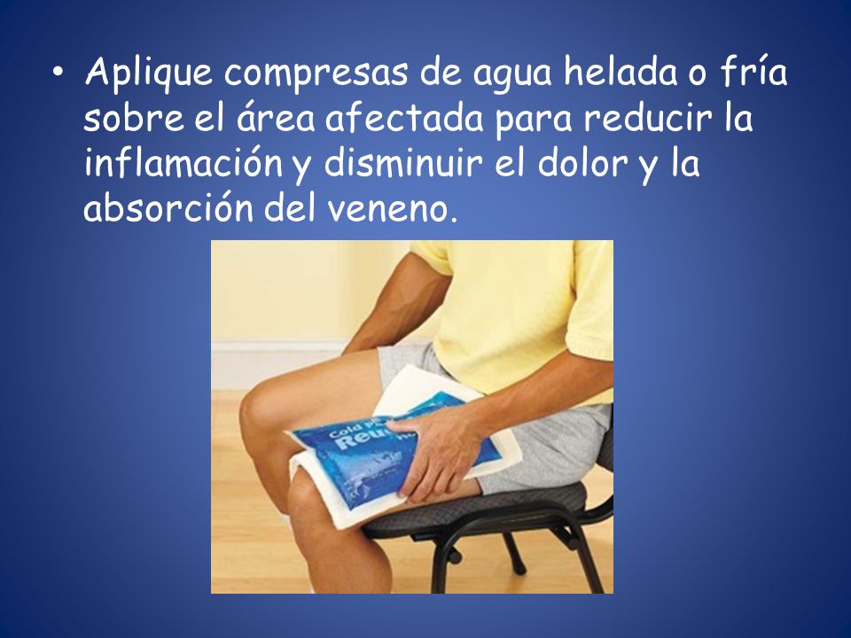 Aplique compresas de agua helada o fría sobre el área afectada para reducir la inflamación y disminuir el dolor y la absorción del veneno.