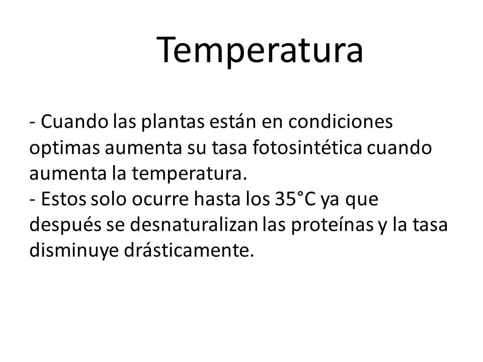 Temperatura - Cuando las plantas están en condiciones optimas aumenta su tasa fotosintética cuando aumenta la temperatura.