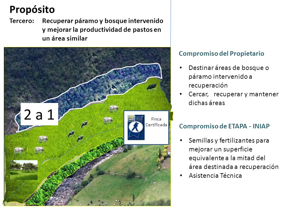 Propósito Tercero: Recuperar páramo y bosque intervenido y mejorar la productividad de pastos en un área similar.