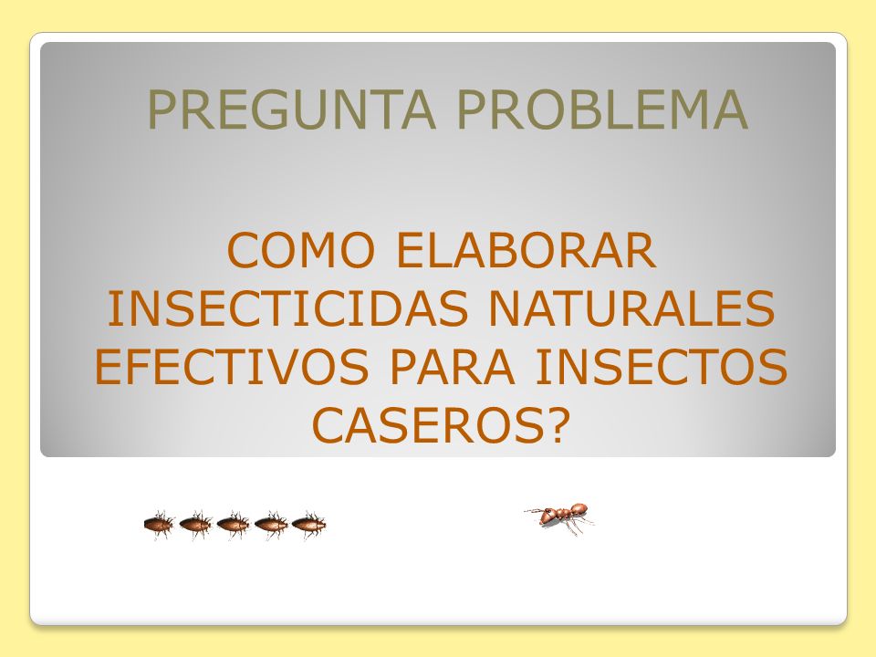 COMO ELABORAR INSECTICIDAS NATURALES EFECTIVOS PARA INSECTOS CASEROS
