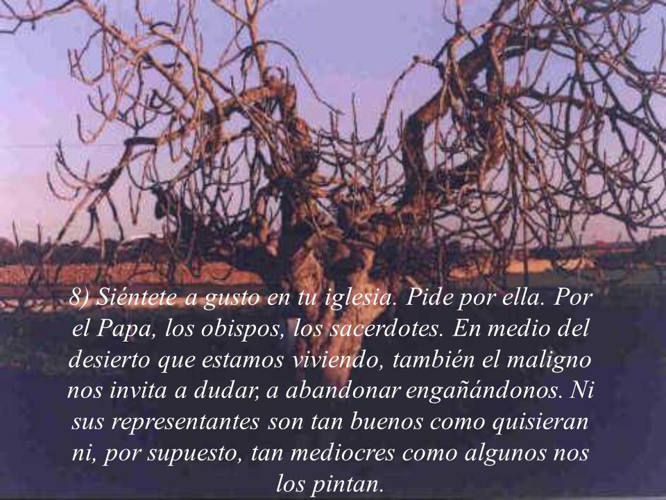 8) Siéntete a gusto en tu iglesia. Pide por ella