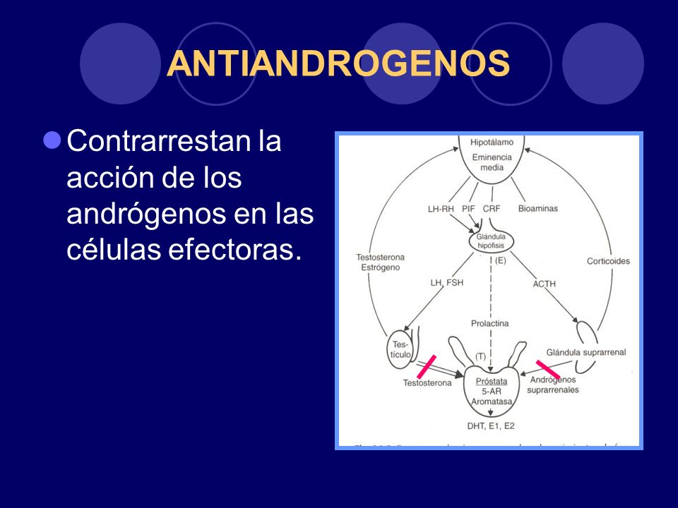 ANTIANDROGENOS Contrarrestan la acción de los andrógenos en las células efectoras.