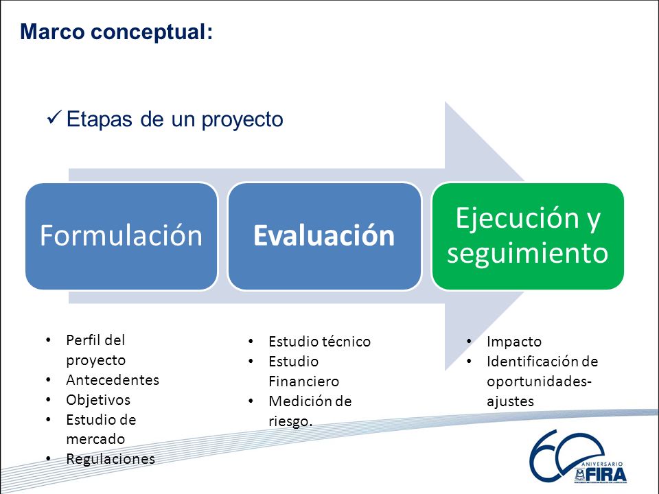 Breve Procedimiento Y Etapas