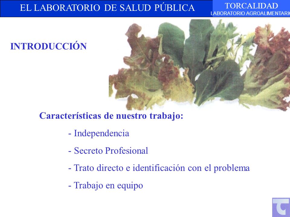 INTRODUCCIÓN Características de nuestro trabajo: - Independencia. - Secreto Profesional. - Trato directo e identificación con el problema.