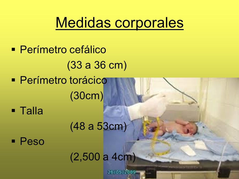 Medidas corporales Perímetro cefálico (33 a 36 cm) Perímetro torácico