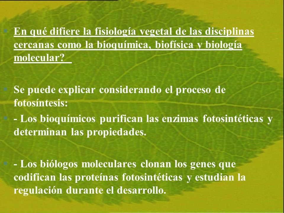 En qué difiere la fisiología vegetal de las disciplinas cercanas como la bioquímica, biofísica y biología molecular