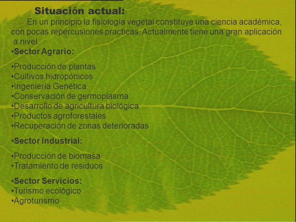 Situación actual: En un principio la fisiología vegetal constituye una ciencia académica,