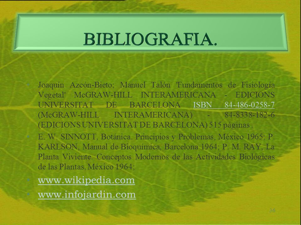 BIBLIOGRAFIA.
