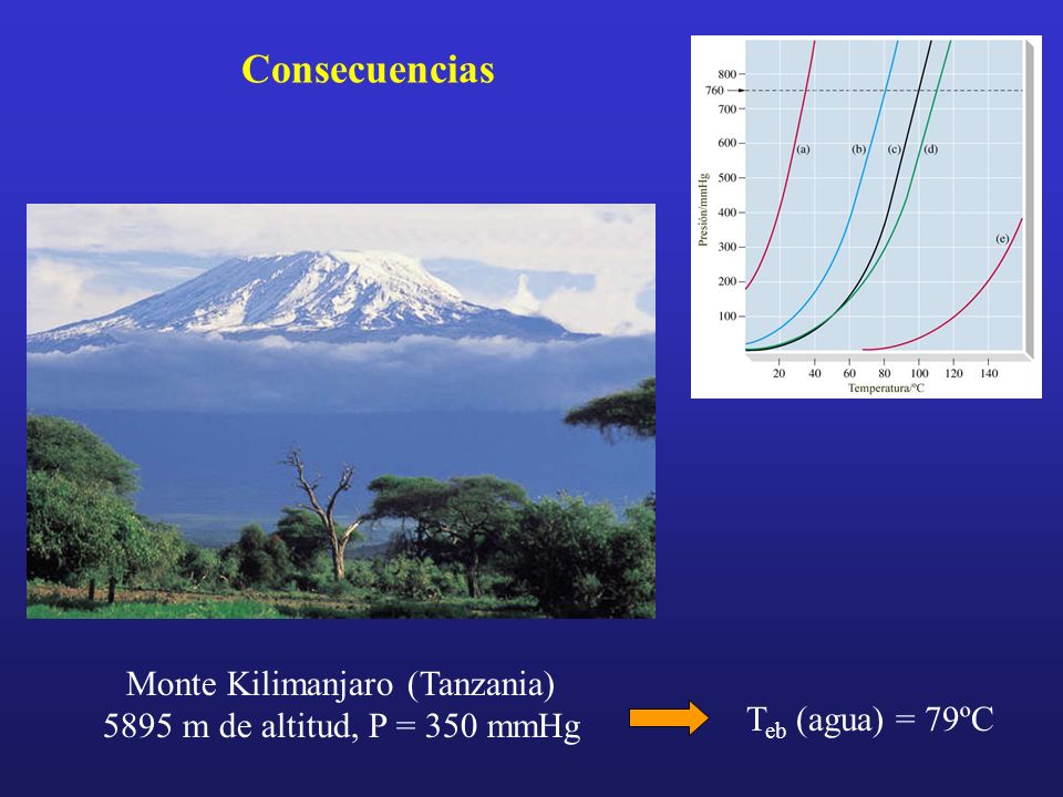 Monte Kilimanjaro (Tanzania) 5895 m de altitud, P = 350 mmHg