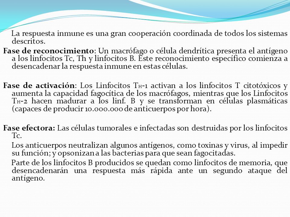 La respuesta inmune es una gran cooperación coordinada de todos los sistemas descritos.