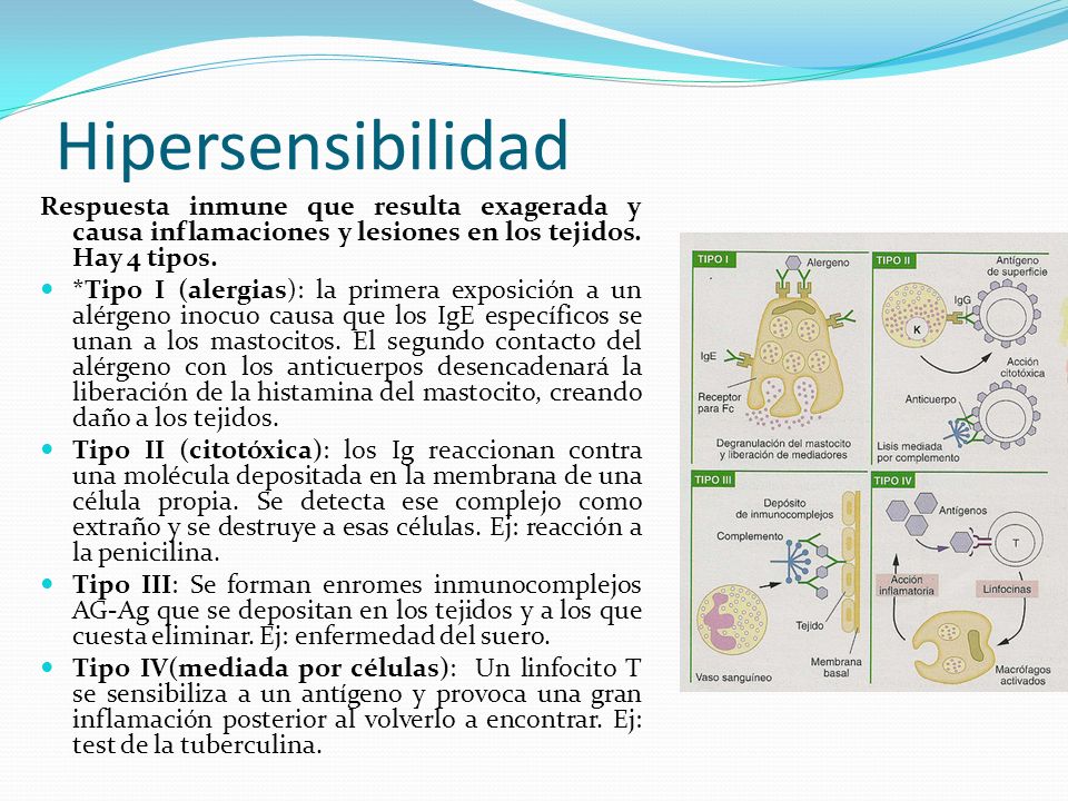 Hipersensibilidad Respuesta inmune que resulta exagerada y causa inflamaciones y lesiones en los tejidos. Hay 4 tipos.