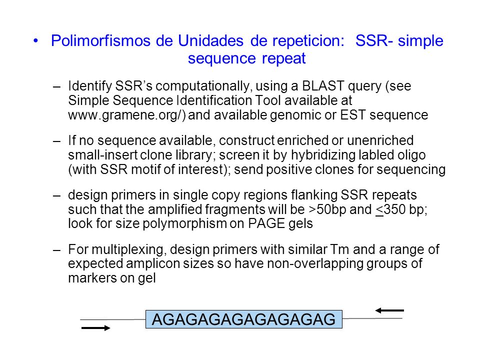 Polimorfismos de Unidades de repeticion: SSR- simple sequence repeat