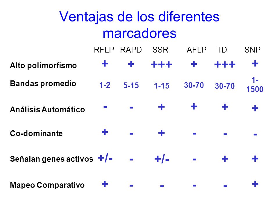 Ventajas de los diferentes marcadores