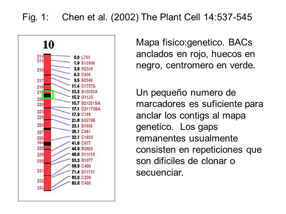 Fig. 1: Chen et al. (2002) The Plant Cell 14: