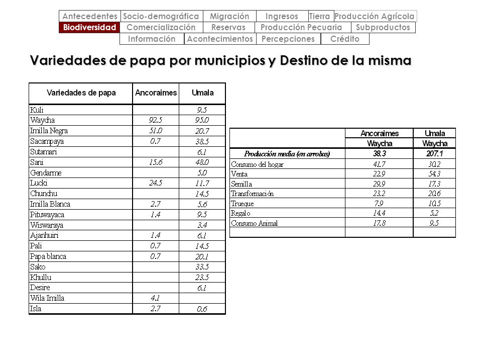 Variedades de papa por municipios y Destino de la misma