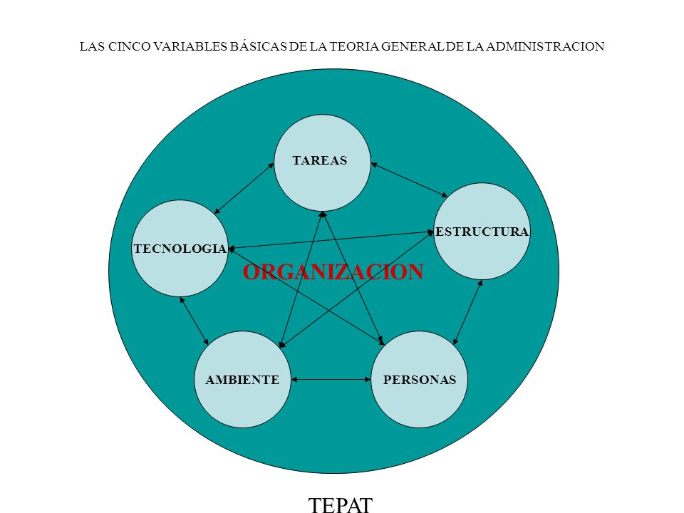 LAS CINCO VARIABLES BÁSICAS DE LA TEORIA GENERAL DE LA ADMINISTRACION