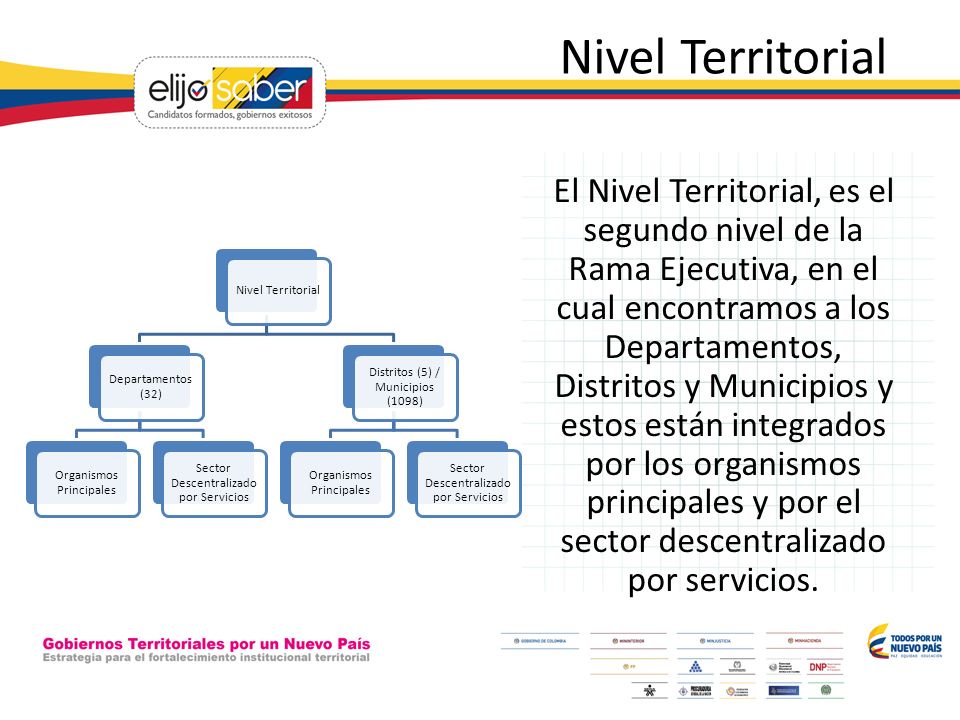 Nivel Territorial Nivel Territorial. Departamentos (32) Organismos Principales. Sector Descentralizado por Servicios.