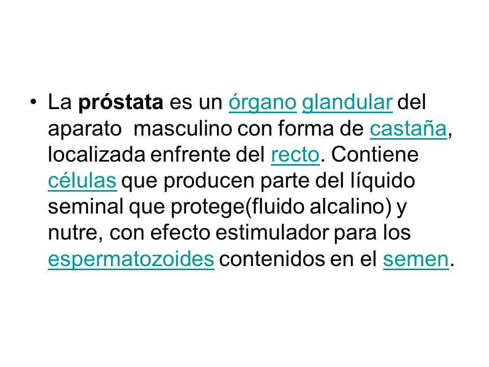 La próstata es un órgano glandular del aparato masculino con forma de castaña, localizada enfrente del recto.