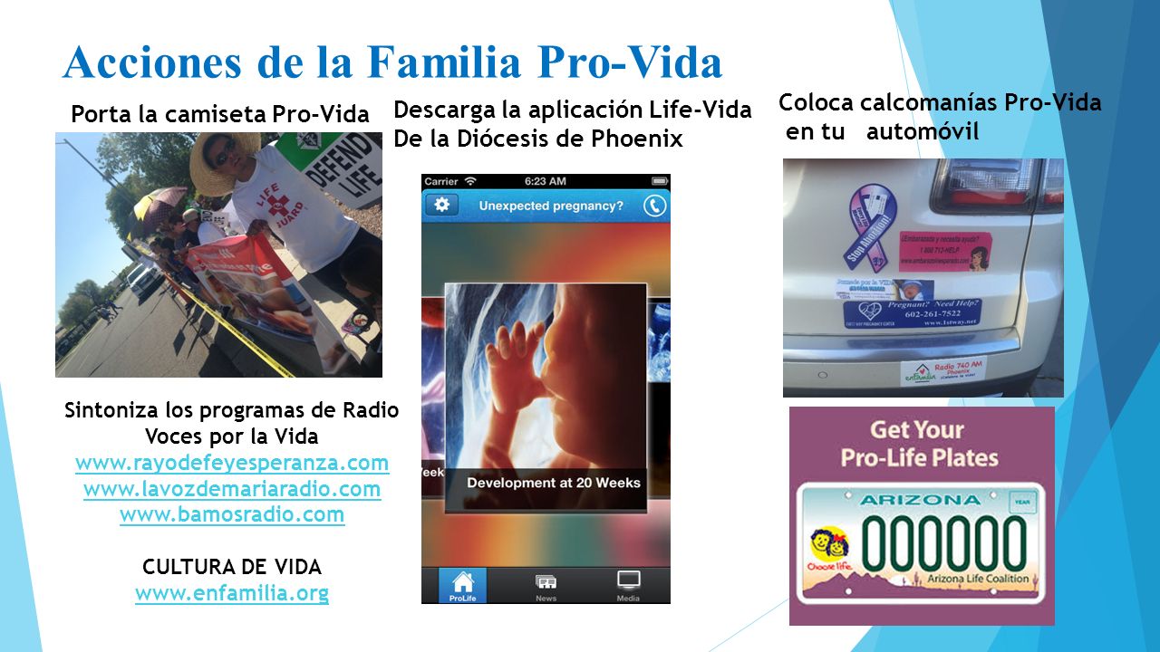 Sintoniza los programas de Radio Voces por la Vida
