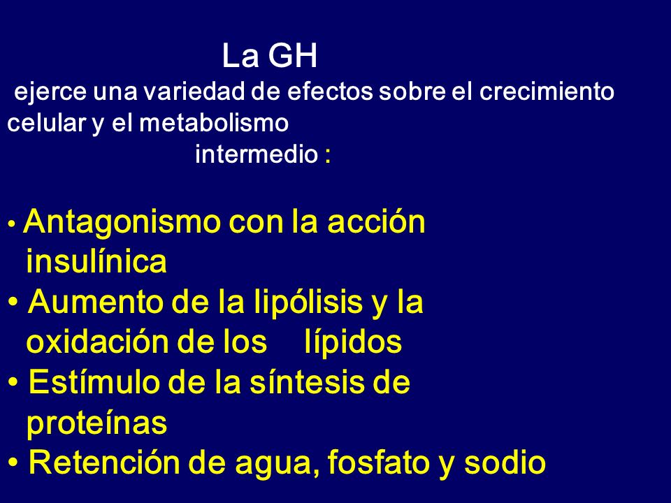 • Aumento de la lipólisis y la oxidación de los lípidos
