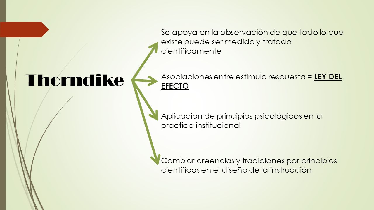 Se apoya en la observación de que todo lo que existe puede ser medido y tratado científicamente