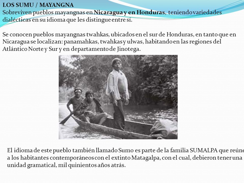 LOS SUMU / MAYANGNA Sobreviven pueblos mayangnas en Nicaragua y en Honduras, teniendo variedades dialécticas en su idioma que les distingue entre sí. Se conocen pueblos mayangnas twahkas, ubicados en el sur de Honduras, en tanto que en Nicaragua se localizan: panamahkas, twahkas y ulwas, habitando en las regiones del Atlántico Norte y Sur y en departamento de Jinotega.