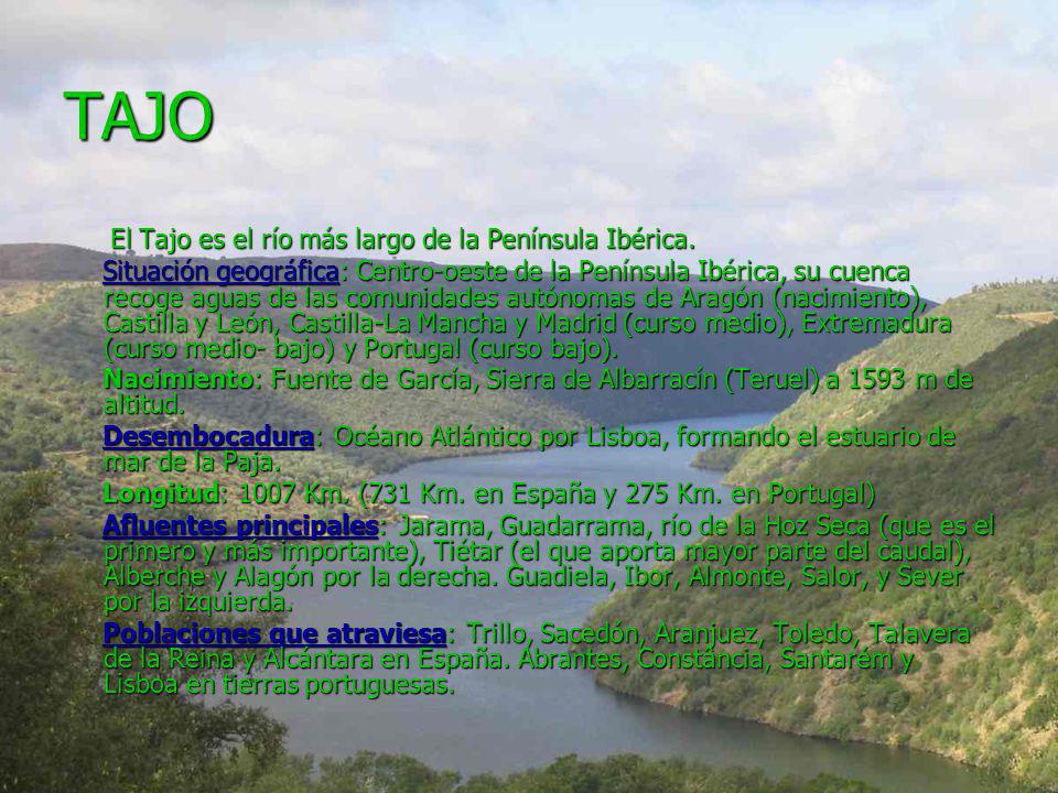 TAJO El Tajo es el río más largo de la Península Ibérica.