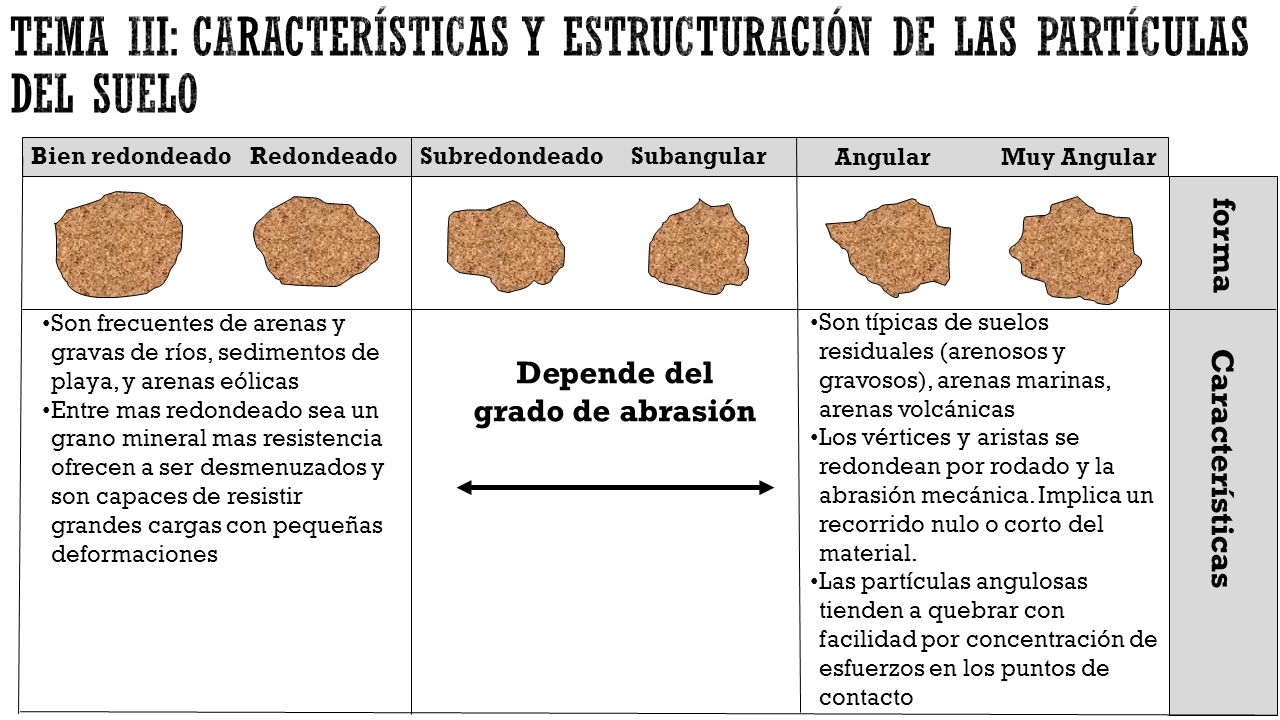 TEMA III: características y estructuración de las partículas del suelo