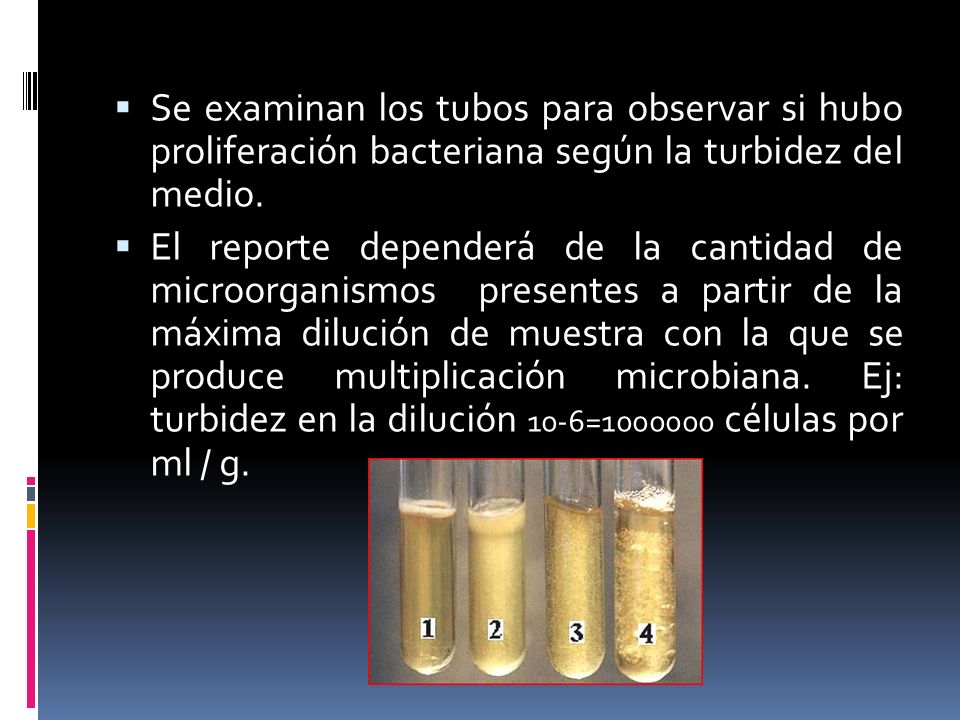 Se examinan los tubos para observar si hubo proliferación bacteriana según la turbidez del medio.