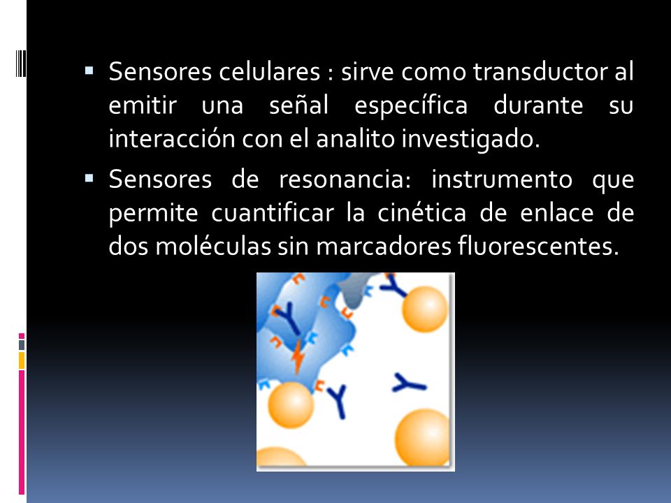 Sensores celulares : sirve como transductor al emitir una señal específica durante su interacción con el analito investigado.