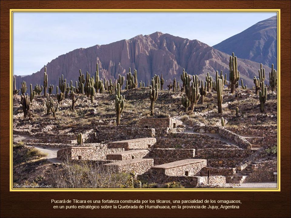 Pucará de Tilcara es una fortaleza construida por los tilcaros, una parcialidad de los omaguacos, en un punto estratégico sobre la Quebrada de Humahuaca, en la provincia de Jujuy, Argentina