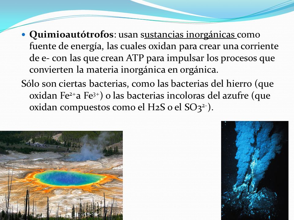 Quimioautótrofos: usan sustancias inorgánicas como fuente de energía, las cuales oxidan para crear una corriente de e- con las que crean ATP para impulsar los procesos que convierten la materia inorgánica en orgánica.