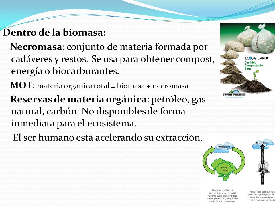 Dentro de la biomasa: Necromasa: conjunto de materia formada por cadáveres y restos. Se usa para obtener compost, energía o biocarburantes.