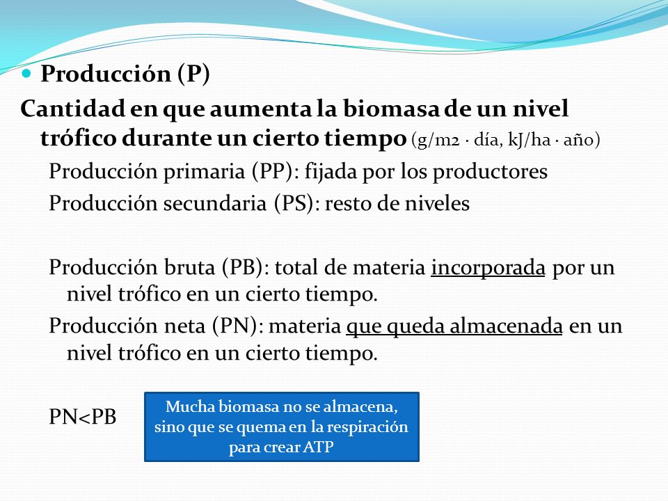 Producción (P) Cantidad en que aumenta la biomasa de un nivel trófico durante un cierto tiempo (g/m2 · día, kJ/ha · año)