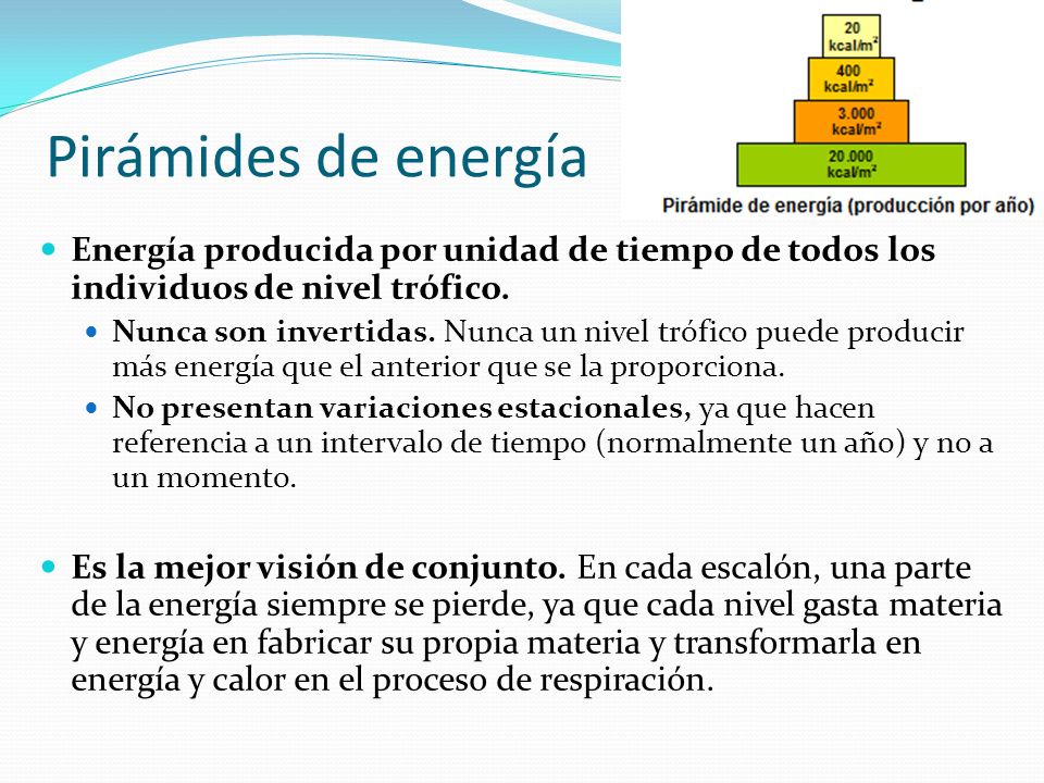 Pirámides de energía Energía producida por unidad de tiempo de todos los individuos de nivel trófico.
