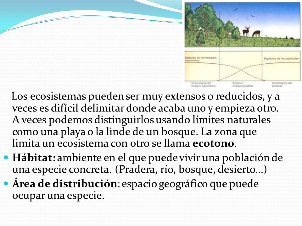 Los ecosistemas pueden ser muy extensos o reducidos, y a veces es difícil delimitar donde acaba uno y empieza otro. A veces podemos distinguirlos usando límites naturales como una playa o la linde de un bosque. La zona que limita un ecosistema con otro se llama ecotono.
