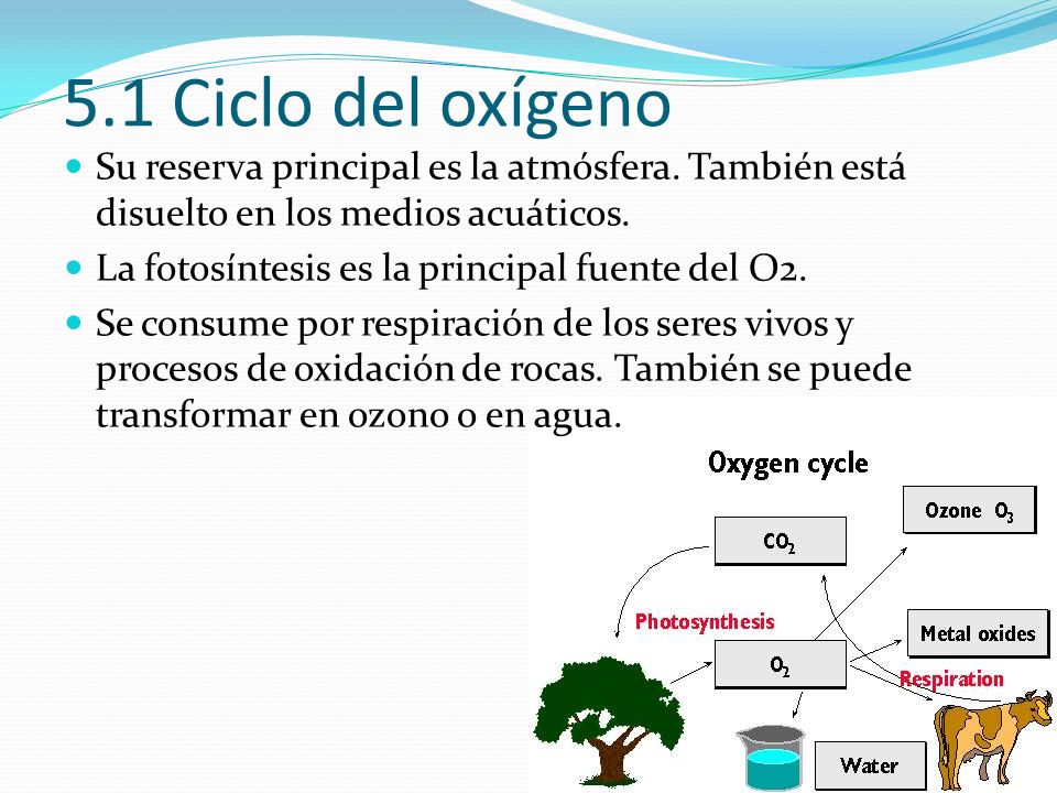 5.1 Ciclo del oxígeno Su reserva principal es la atmósfera. También está disuelto en los medios acuáticos.