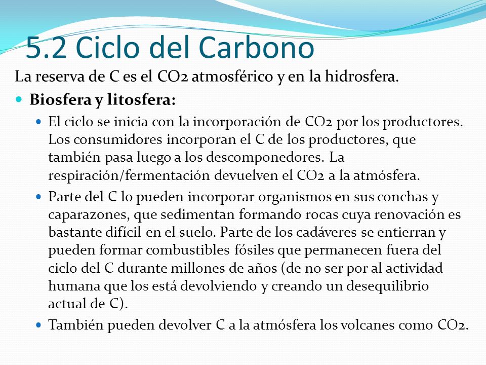 5.2 Ciclo del Carbono La reserva de C es el CO2 atmosférico y en la hidrosfera. Biosfera y litosfera: