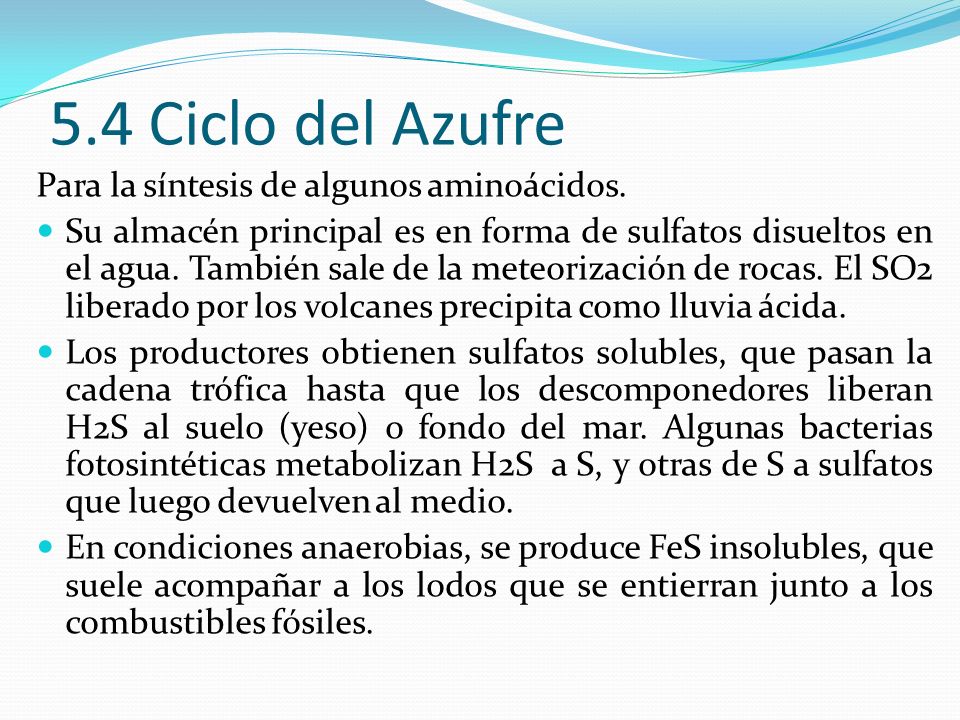 5.4 Ciclo del Azufre Para la síntesis de algunos aminoácidos.