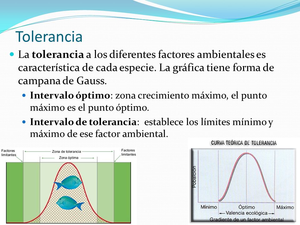 Tolerancia La tolerancia a los diferentes factores ambientales es característica de cada especie. La gráfica tiene forma de campana de Gauss.