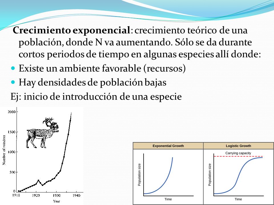 Crecimiento exponencial: crecimiento teórico de una población, donde N va aumentando. Sólo se da durante cortos periodos de tiempo en algunas especies allí donde: