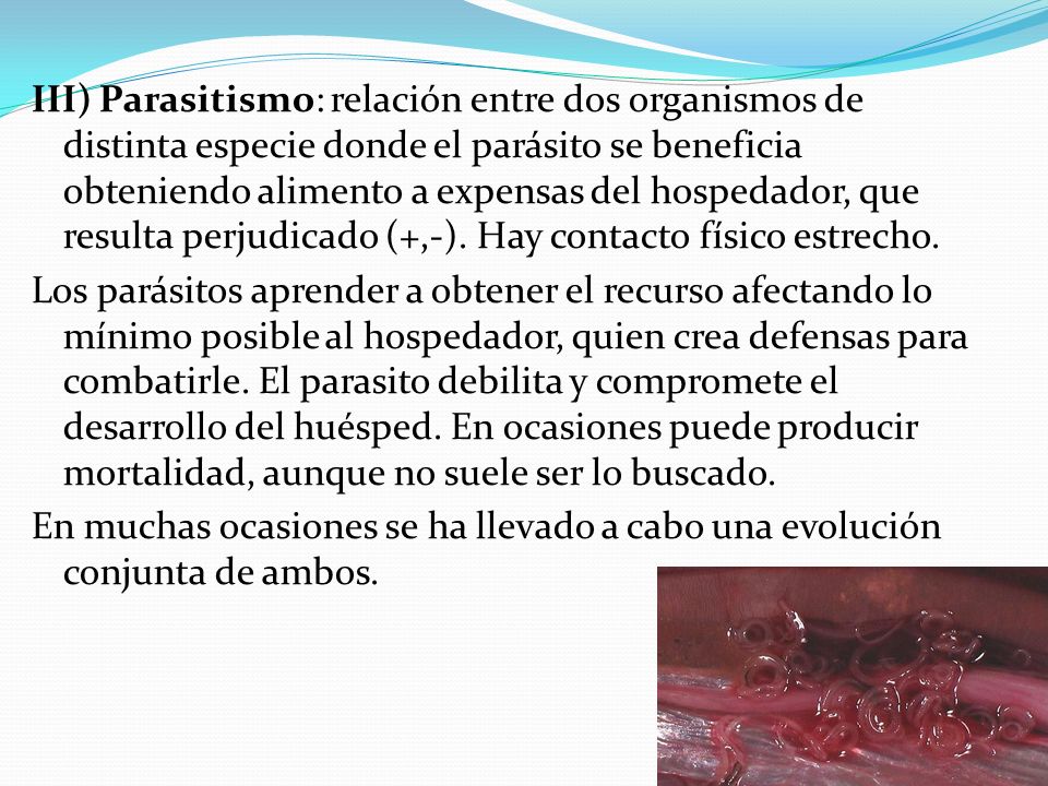 III) Parasitismo: relación entre dos organismos de distinta especie donde el parásito se beneficia obteniendo alimento a expensas del hospedador, que resulta perjudicado (+,-).