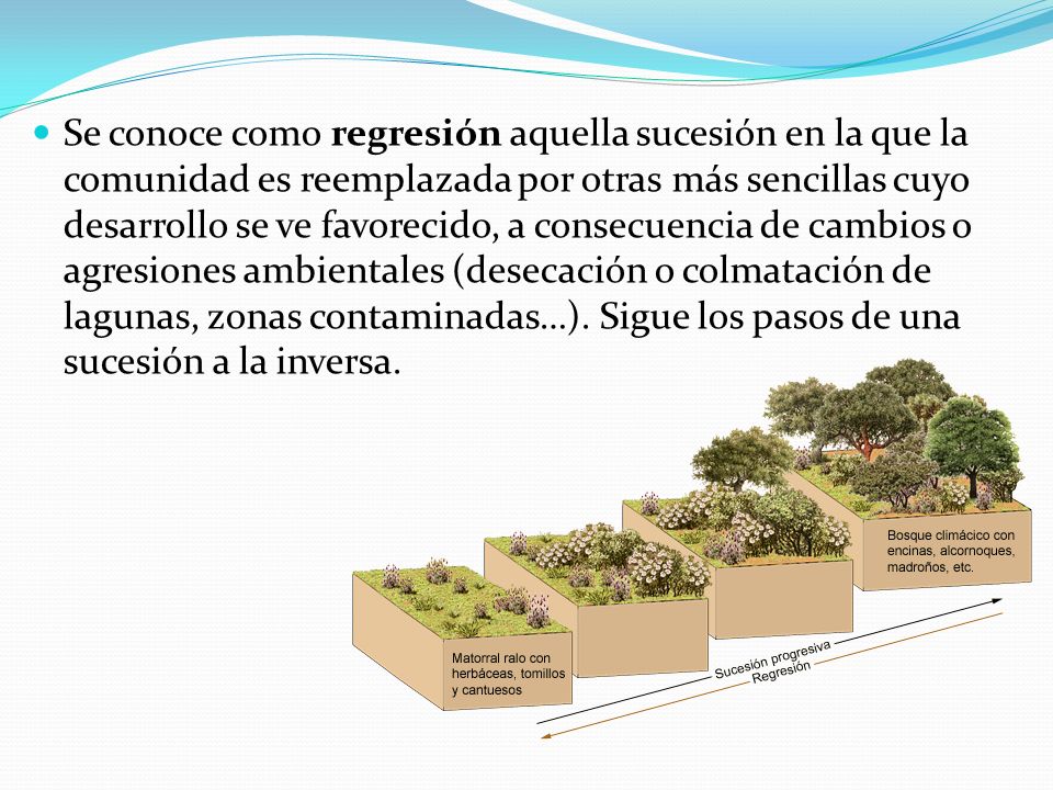 Se conoce como regresión aquella sucesión en la que la comunidad es reemplazada por otras más sencillas cuyo desarrollo se ve favorecido, a consecuencia de cambios o agresiones ambientales (desecación o colmatación de lagunas, zonas contaminadas…).
