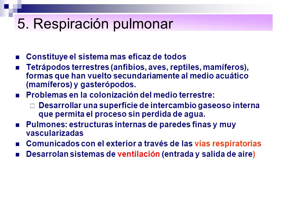 5. Respiración pulmonar Constituye el sistema mas eficaz de todos