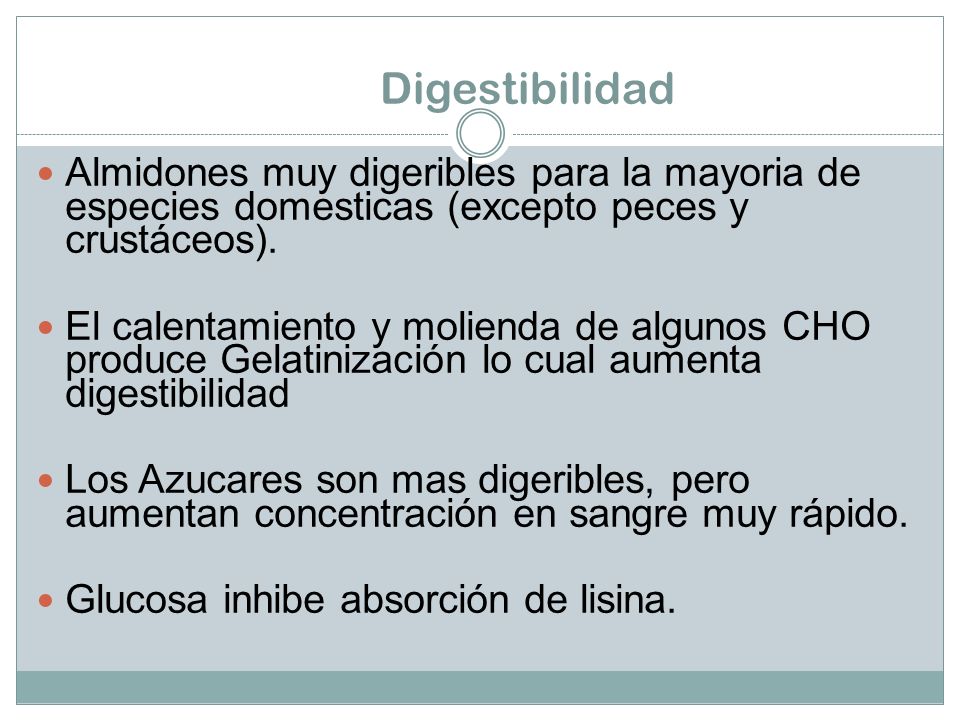 Digestibilidad Almidones muy digeribles para la mayoria de especies domesticas (excepto peces y crustáceos).